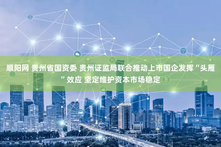 顺阳网 贵州省国资委 贵州证监局联合推动上市国企发挥“头雁”效应 坚定维护资本市场稳定